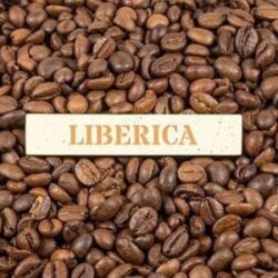 Cà phê Liberiaca là gì?