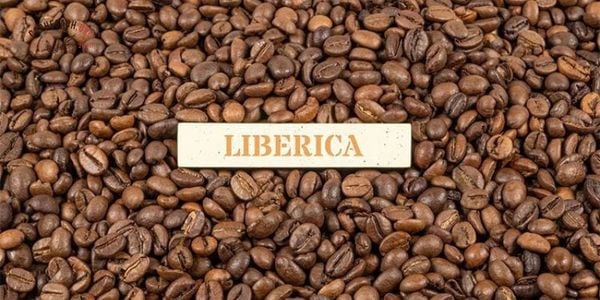 Cà phê Liberiaca là gì?